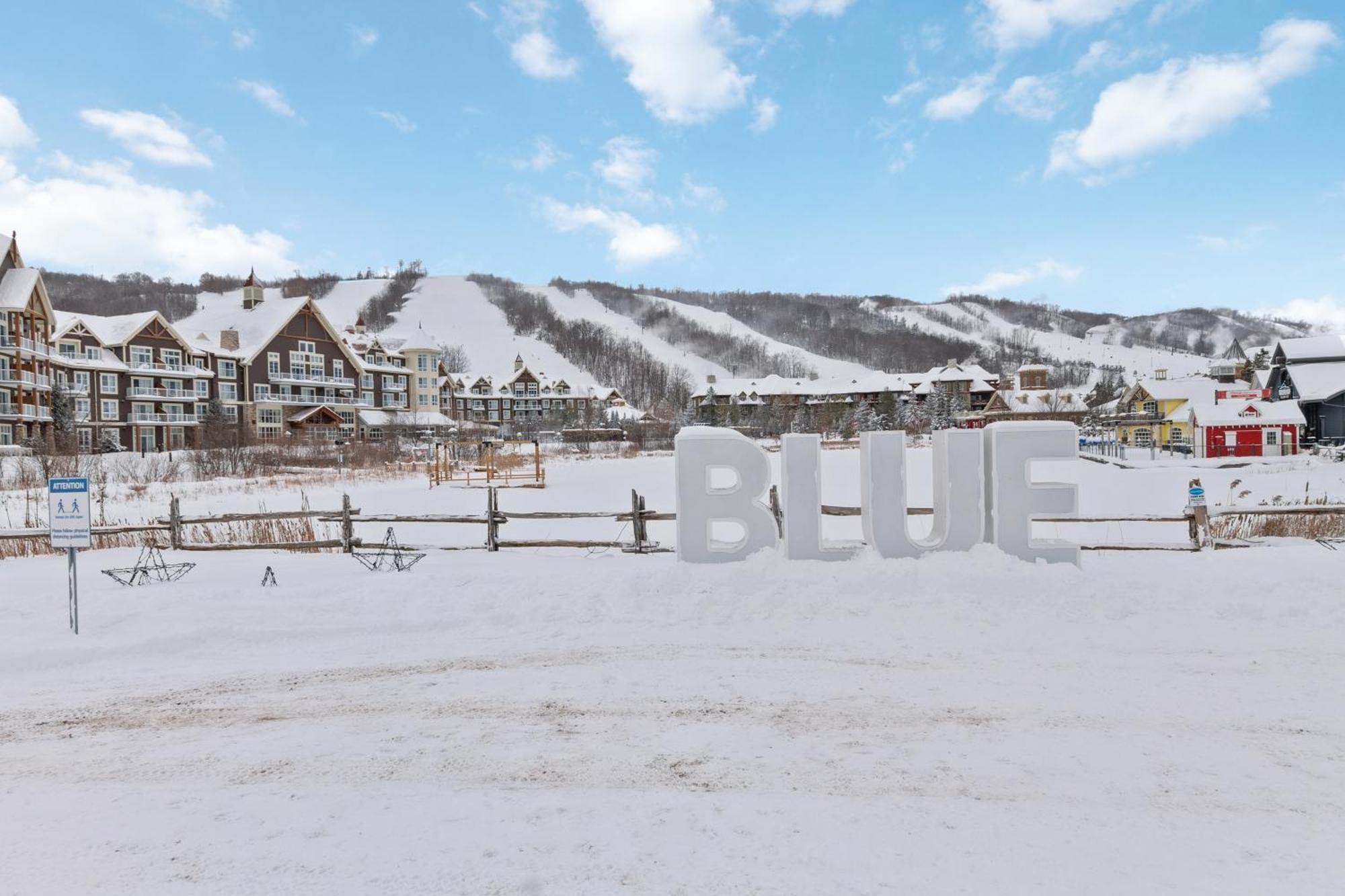 Lovely 3 Bedroom Wintergreen Retreat W Sauna Blue Mountains Zewnętrze zdjęcie